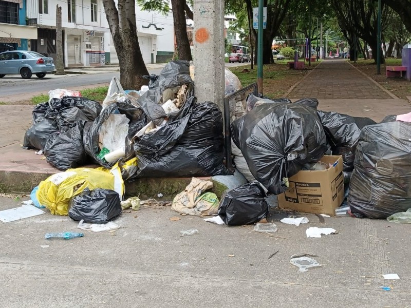 Cultura de separación de basura, ¿por qué no se hace en Zihuatanejo?