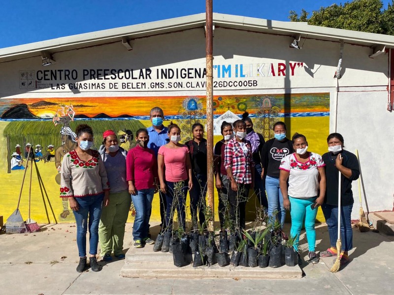 Cumple Ecología reforestación en las Guásimas