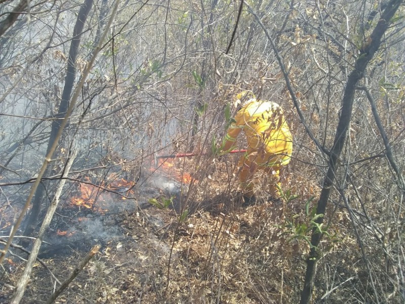 Cumple una semana incendio forestal en Ixtlahuacán