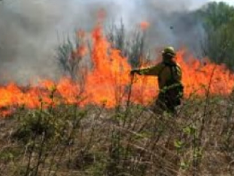 Cumplen nueve días de combate a incendio forestal en Chiapas