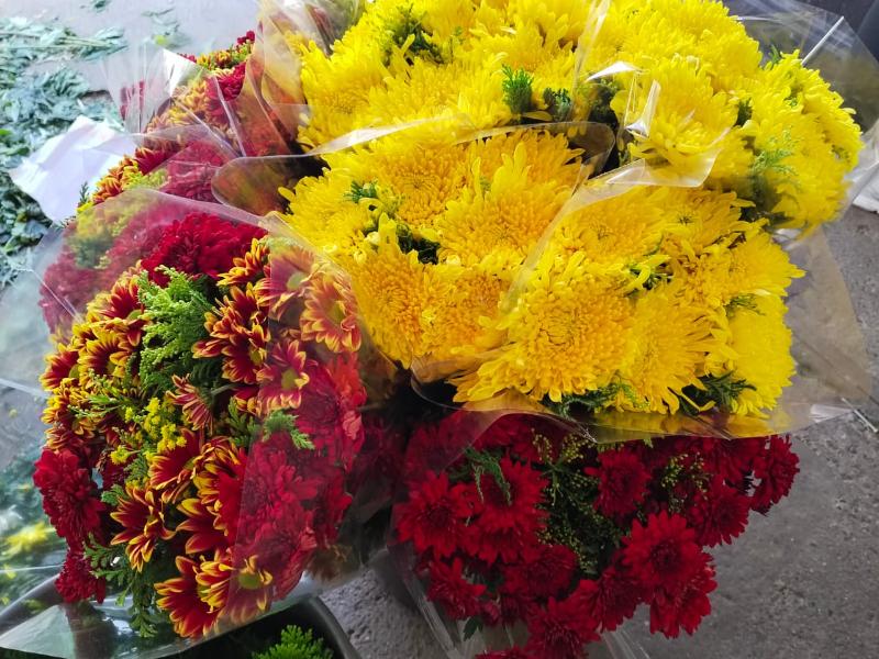 ¡Alivio al bolsillo!Se mantiene precio de la flor por Día de Muertos