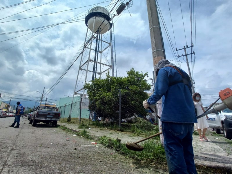 Dan mantenimiento a predios de pozos de abastecimiento