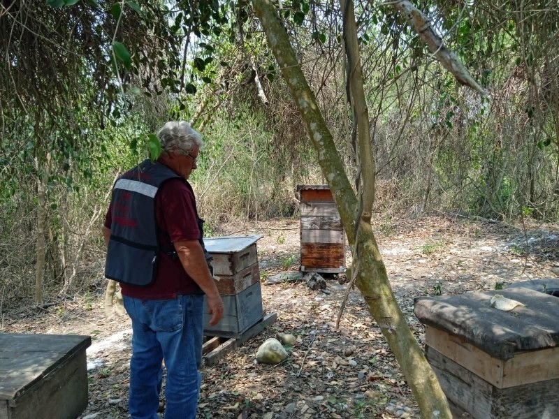 Dan capacitaciones a apicultores de Álamo