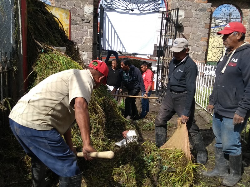 Dan manita de gato a cementerios en Toluca