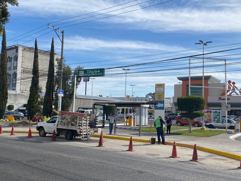 Dan mantenimiento a camellones de la Feria de León 2024