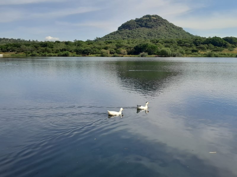 Dan mantenimiento a lagos de Jacona por día de muertos