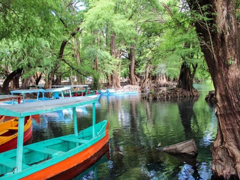 Dan mantenimiento a las instalaciones del lago de Camécuaro