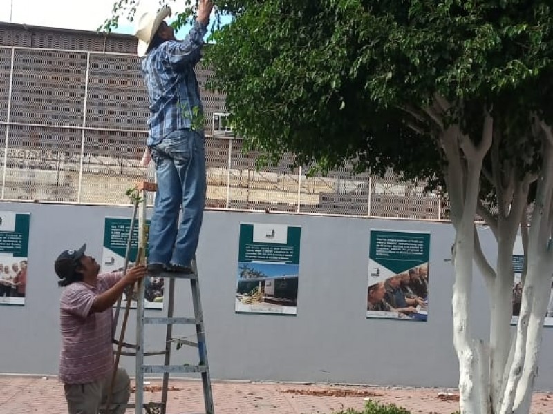 Dan mantenimiento a plazas públicas