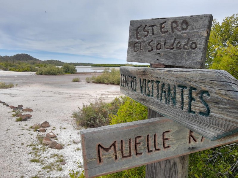 Dan mantenimiento a zonas ecológicas de Sonora