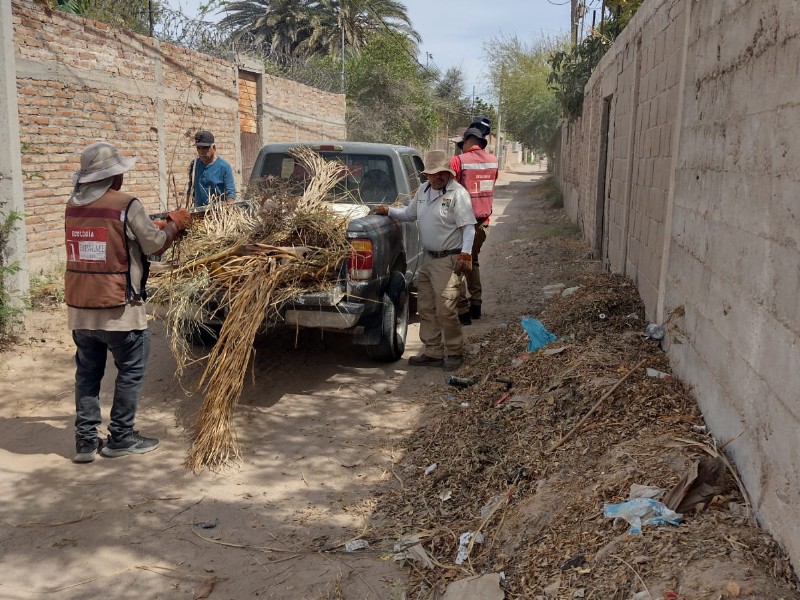 Dan mantenimiento ecológico en espacios públicos de Guaymas