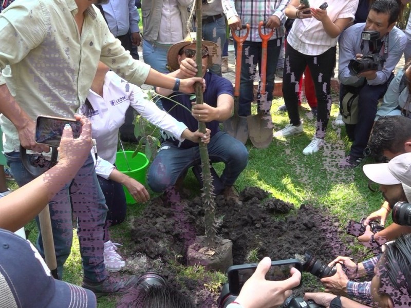 Dan seguimiento a los 400 arboles plantados en el zoológico