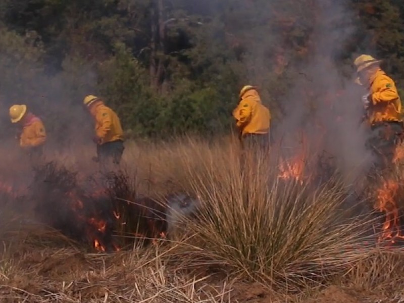 Daños de incendios forestales