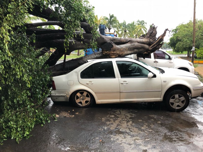 Daños materiales e inundaciones dejan lluvias