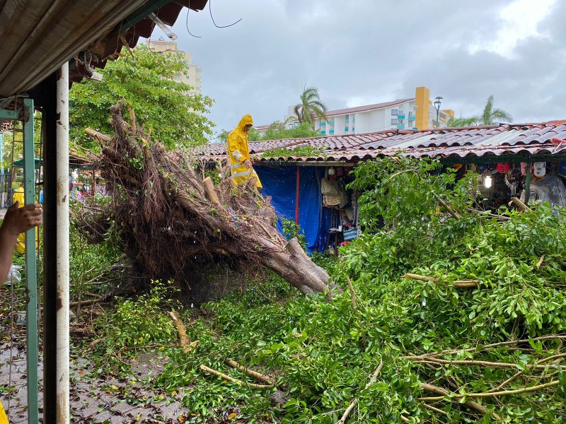 Daños menores provoca “Beatriz” en Zihuatanejo