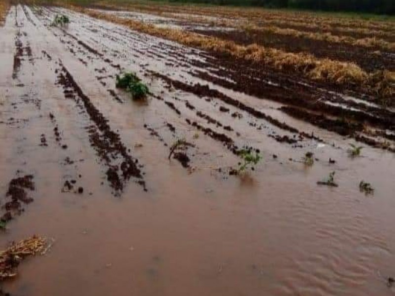 Daños por lluvias en zona norte no han sido cuantificados