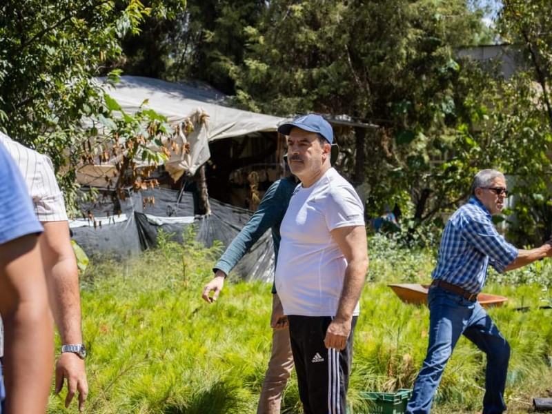 Darán seguimiento a programa de reforestación en Tangancícuaro