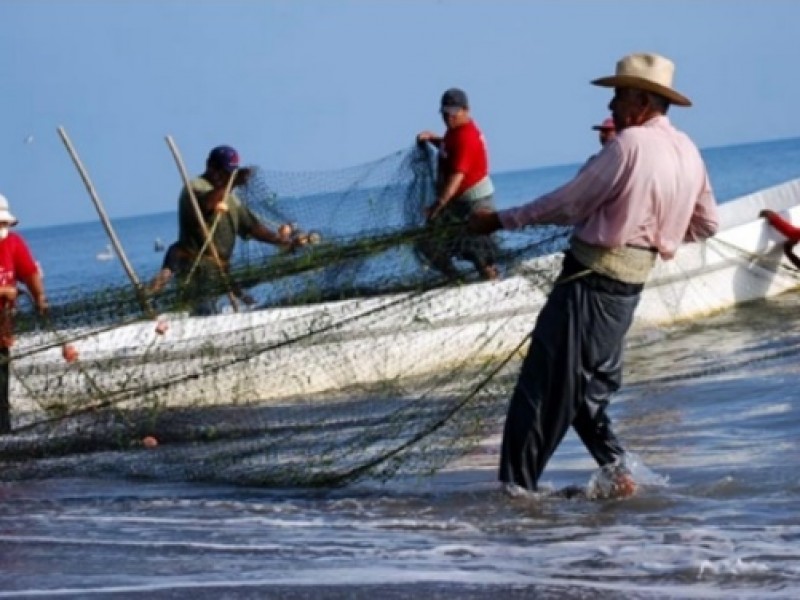 Darán seguro de vida para pescadores en Sonora