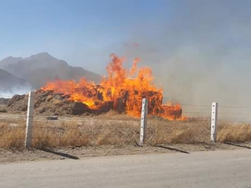 De 6 a 8 incendios diarios reportan bomberos