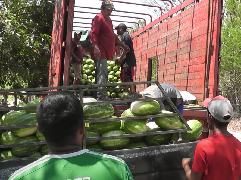 De Costa Grande, sandía consumida en puertos turísticos de Guerrero