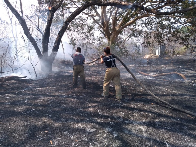 De cuatro a seis incendios diarios atienden Bomberos