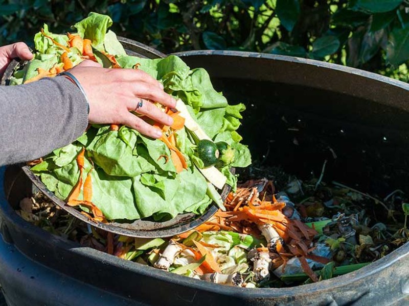 De la basura al plato: la red que alimenta en silencio