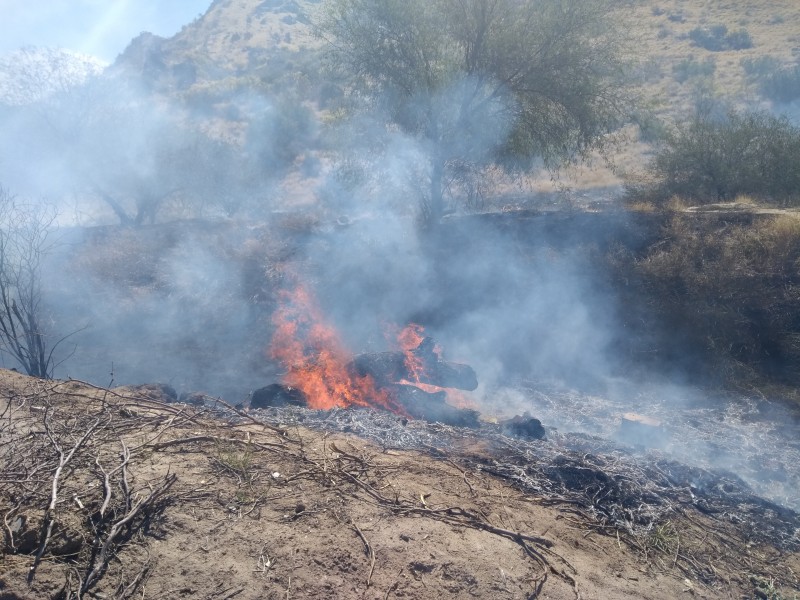 De nuevo se incendia cerro de la cementera