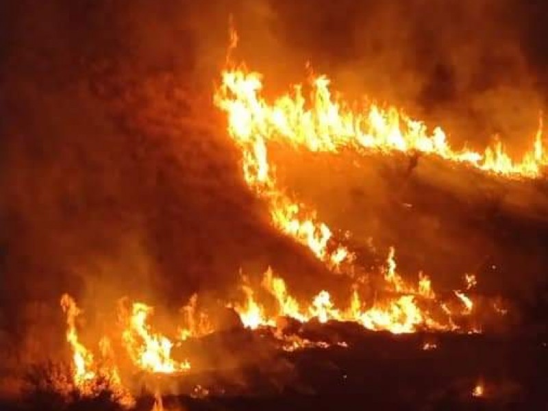 De nuevo se incendia el Cerro del Bachoco