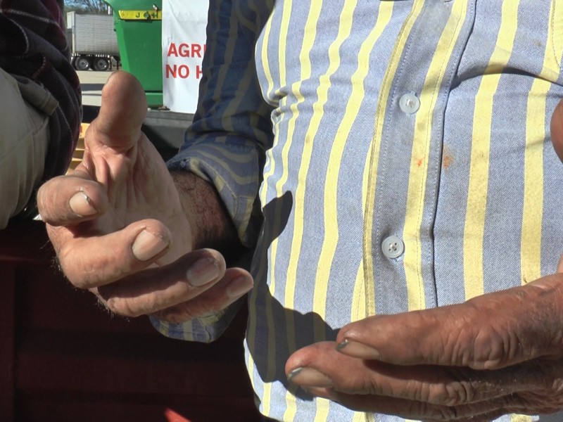 “De sol a sol”, los campesinos han perdido la batalla durante años