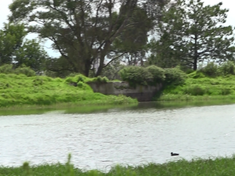 De suma importancia el agua de lluvia en el EdoMéx