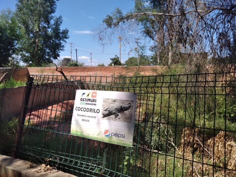 De zoológico a vivero: el nuevo propósito del parque infantil