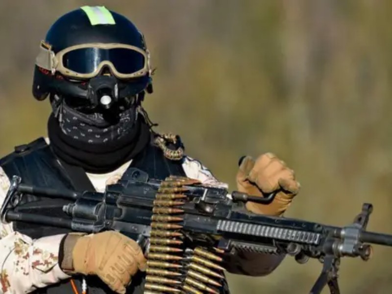 DEA identifica siete cárteles que operan en Ciudad de México
