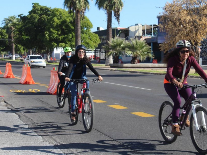 Deben mejorar las políticas públicas para garantizar seguridad de ciclistas