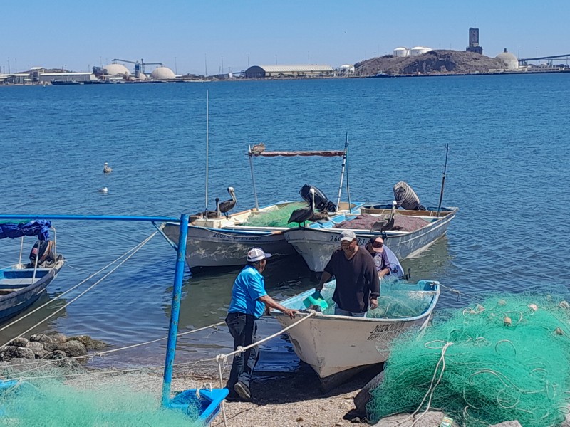 Decae gremio pesquero cada día, sin apoyos de gobierno