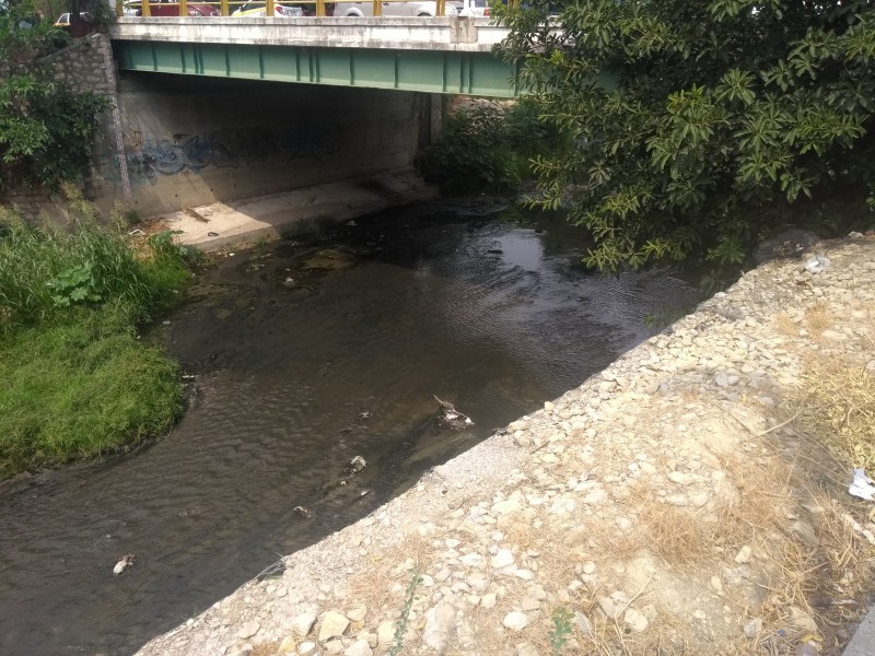 Decenas de descargas de aguas negras