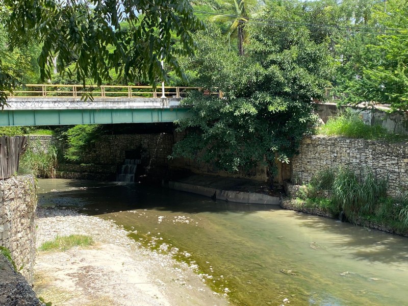 Decenas de reportes por culebras en márgenes del Río Sabinal