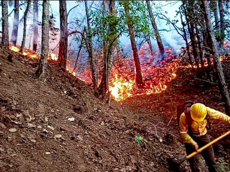 Declaran 13 municipios en emergencia por incendios forestales