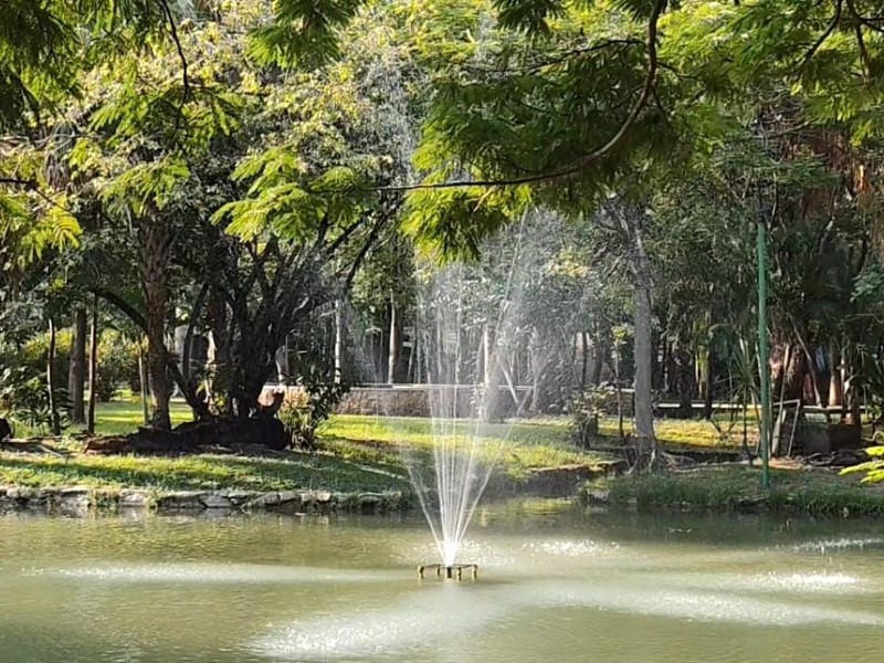 Declaran área natural protegida a 