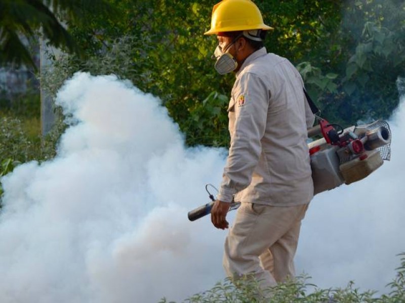 Declaran brote epidémico por dengue en Jamaica