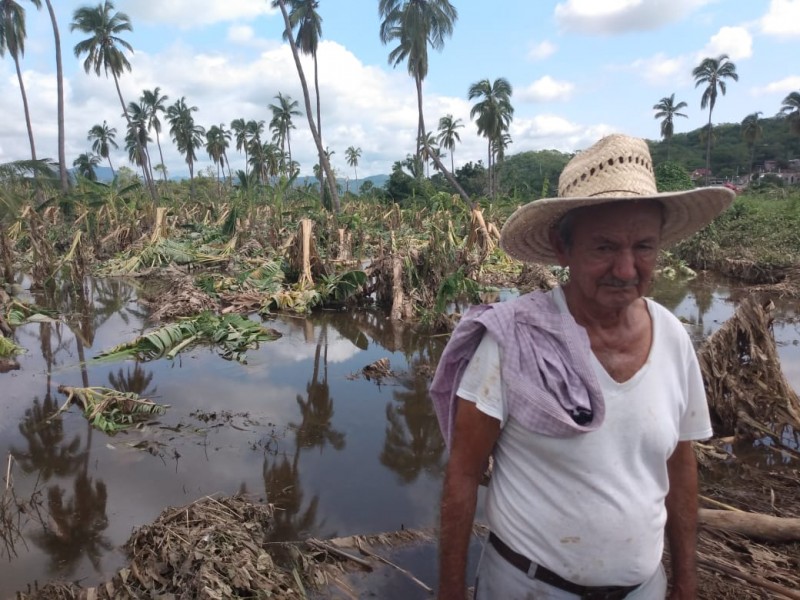 Declaran desastre natural en 4 municipios por 