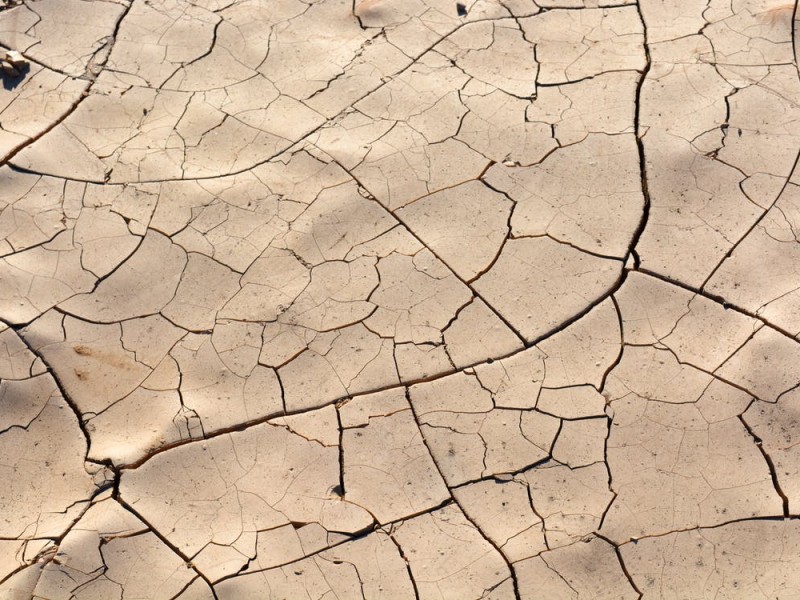 Declaran emergencia por sequía en Guanajuato
