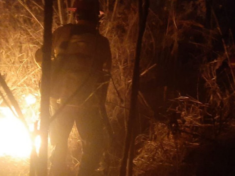 Declaran extinguido incendio forestal en Bugambilias