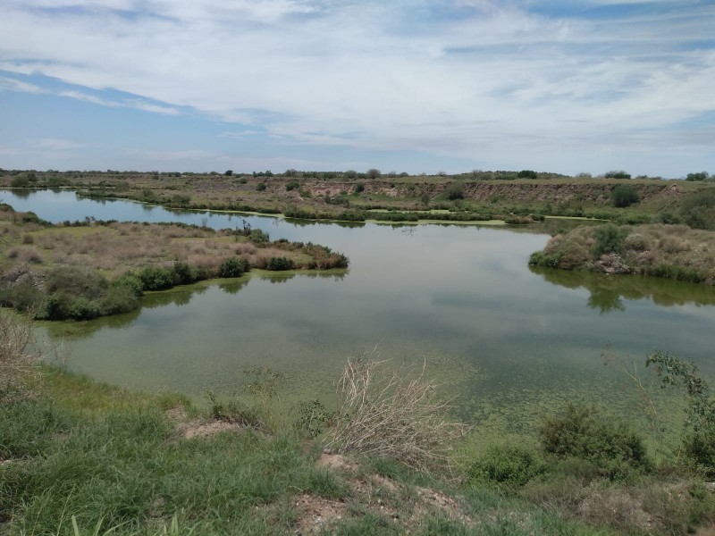 Declaran laguna Los Jagüeyes como área natural protegida municipal