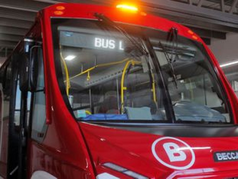 Declaran licitación de Bus Laguna como desierta