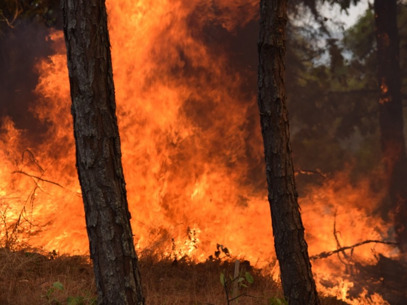 Declararán área protegida las zonas devastadas por incendios en Uruapan