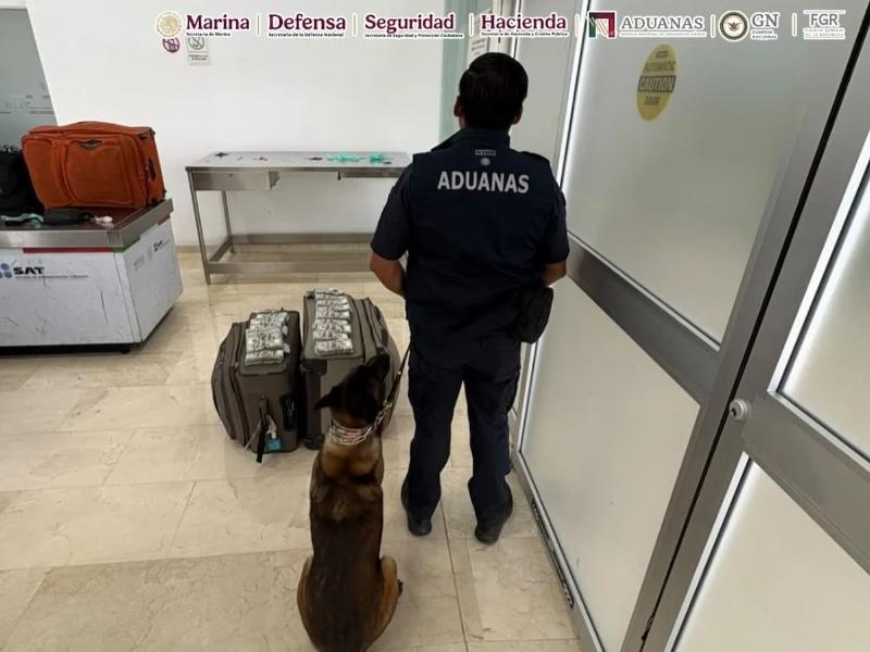 Decomisan 365 mil dólares sin declarar en aeropuerto de Oaxaca