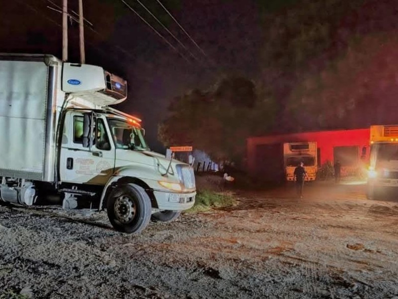 Decomisan más de 30 canales de res de procedencia ilícita