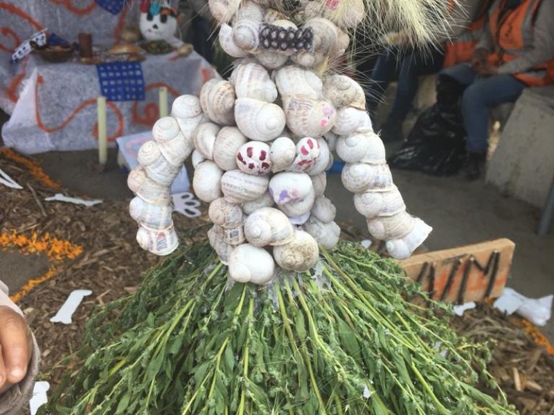 Dedican ofrenda a la “muerte” del NAIM