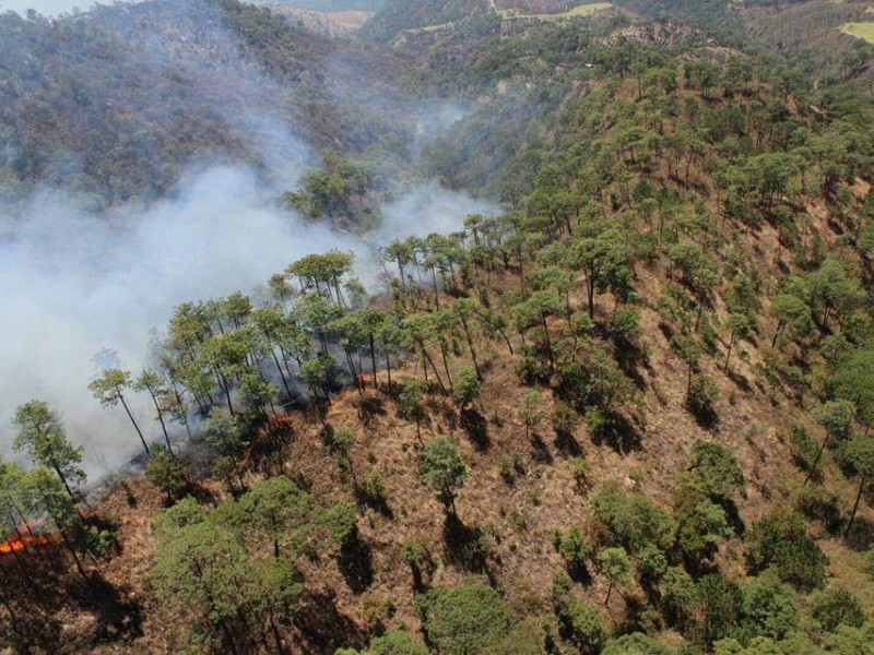 Deficiencia y desabasto de agua entorpecen control de incendios forestales