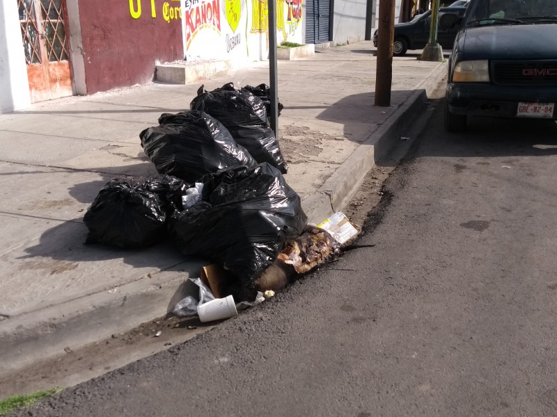 Deficiente el servicio de basura en Lerdo