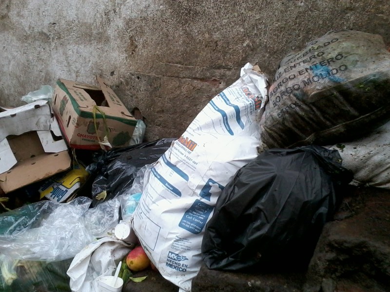 Deficiente servicio de recolección de basura en Sahuayo